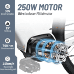 TTGO E-Bike Cityrad ZZ-28ST 28’’ E-Cityrad Alu-Tiefrahmen mit Mittelmotor und Gepäckträger, 9 Gang SHIMANO ALTUS, Kettenschaltung, Mittelmotor, 720 Wh, 36V 20AH Rahmen trägt 125 kg Abenteuer, Reichweite bis 150 km,Pedelec - Image 3