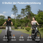 TTGO E-Bike Cityrad ZZ-28ST 28’’ E-Cityrad Alu-Tiefrahmen mit Mittelmotor und Gepäckträger, 9 Gang SHIMANO ALTUS, Kettenschaltung, Mittelmotor, 720 Wh, 36V 20AH Rahmen trägt 125 kg Abenteuer, Reichweite bis 150 km,Pedelec - Image 4