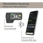 AGON E-Bike Mountainbike Alpha, 10 Gang Deore SGS T6000 Schaltwerk, Kettenschaltung, Heckmotor, 540 Wh, Pedelec, Elektrofahrrad für Damen u. Herren, MTB - Image 5